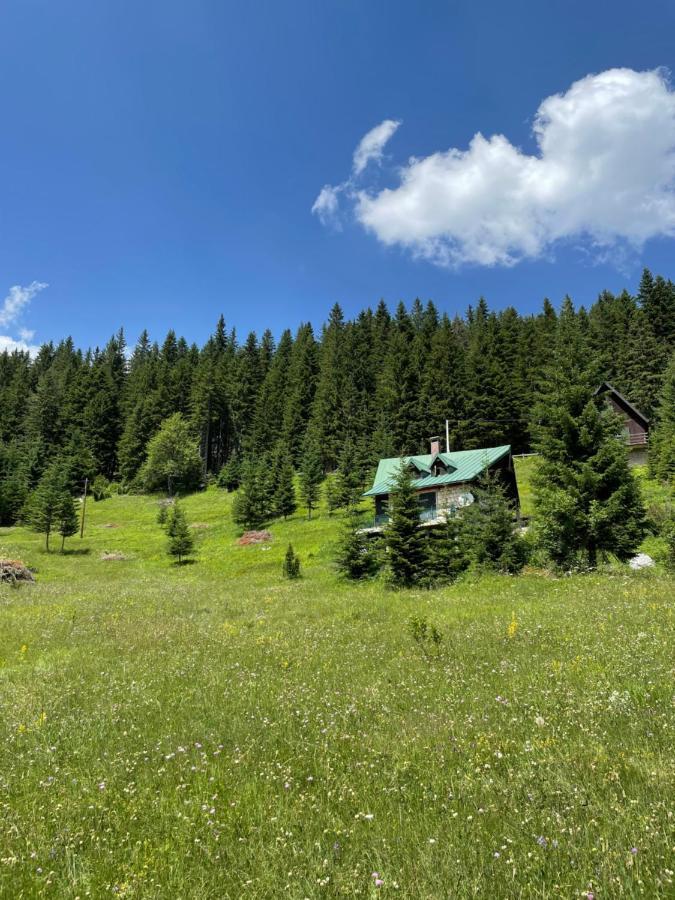 Magic Mountain Villa Zabljak  Luaran gambar