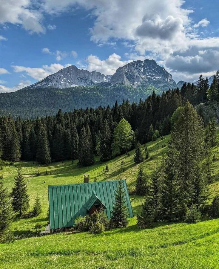 Magic Mountain Villa Zabljak  Luaran gambar