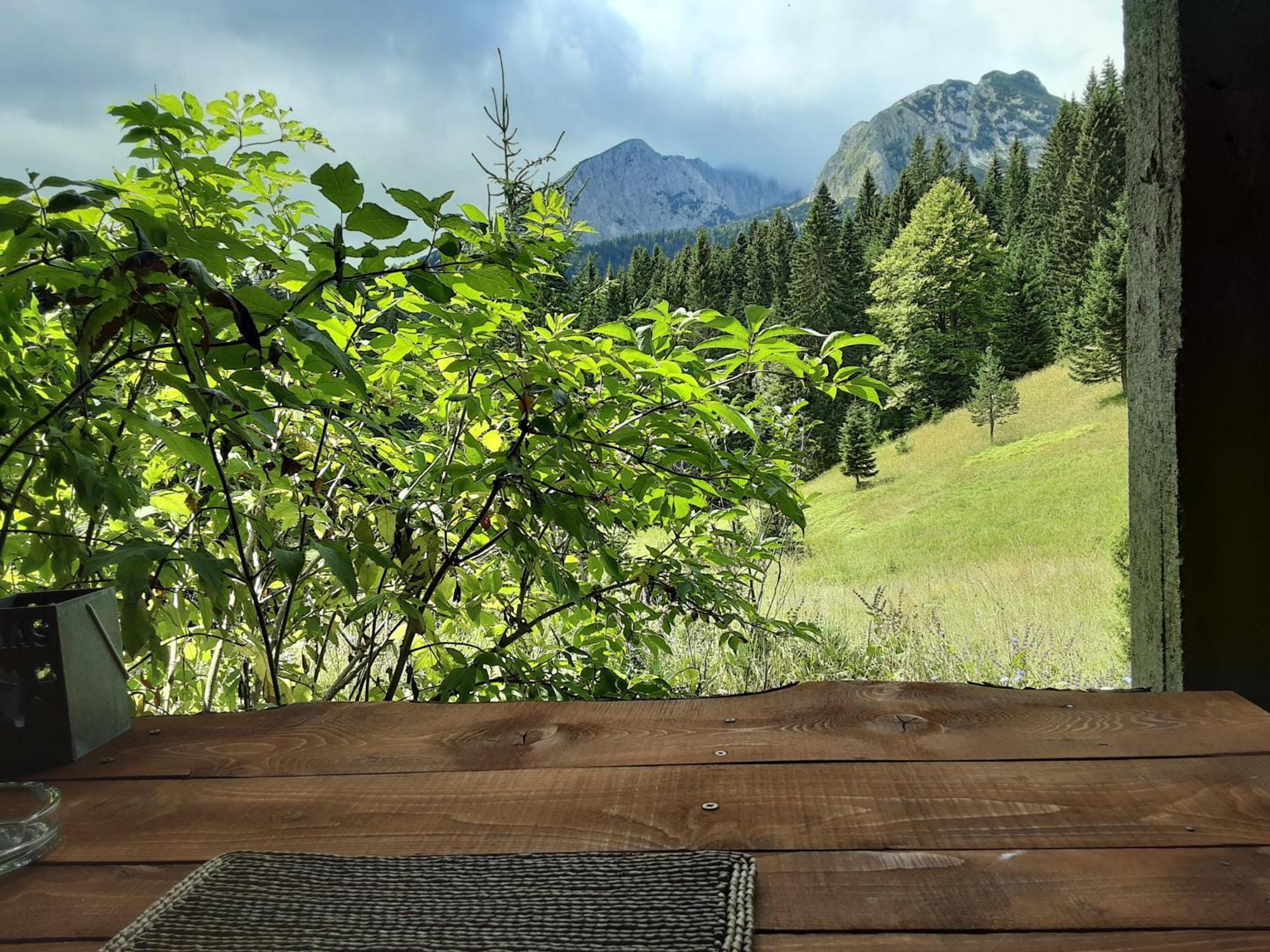 Magic Mountain Villa Zabljak  Luaran gambar