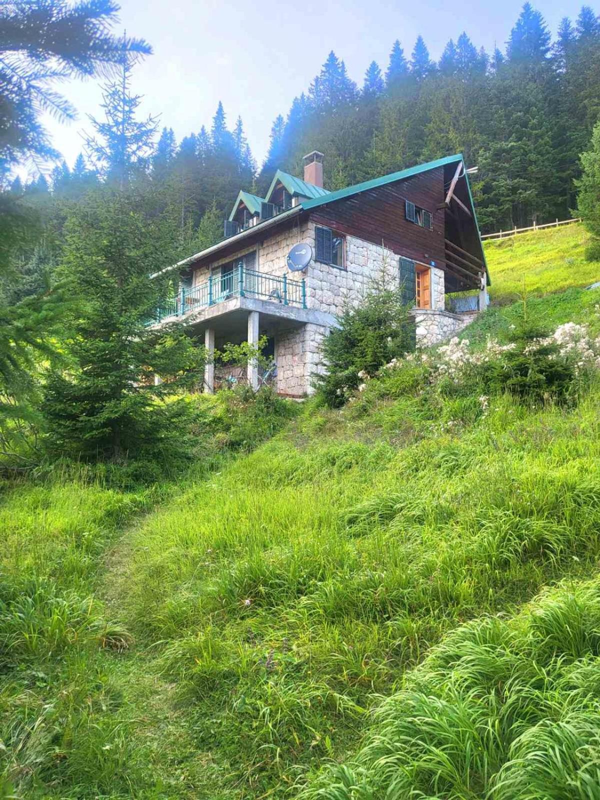 Magic Mountain Villa Zabljak  Luaran gambar