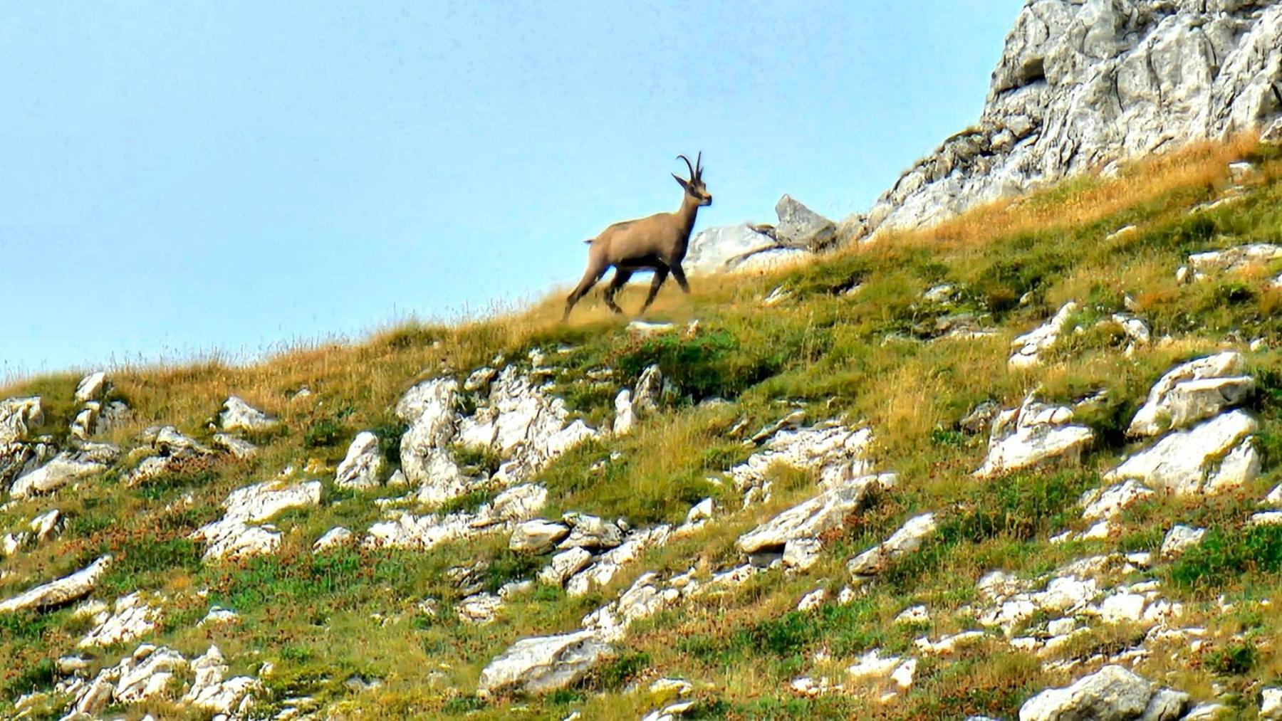 Magic Mountain Villa Zabljak  Luaran gambar